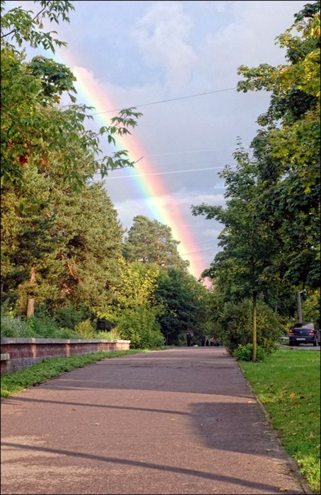 Фото жизнь