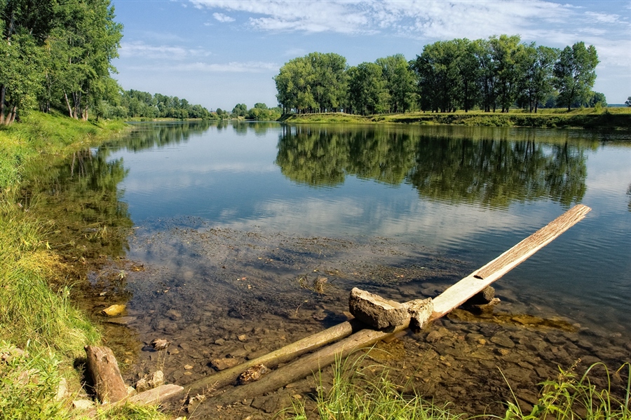 Фото жизнь