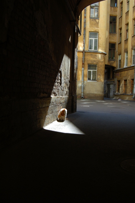 Фото жизнь