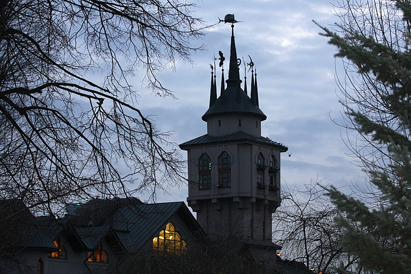 Фото жизнь