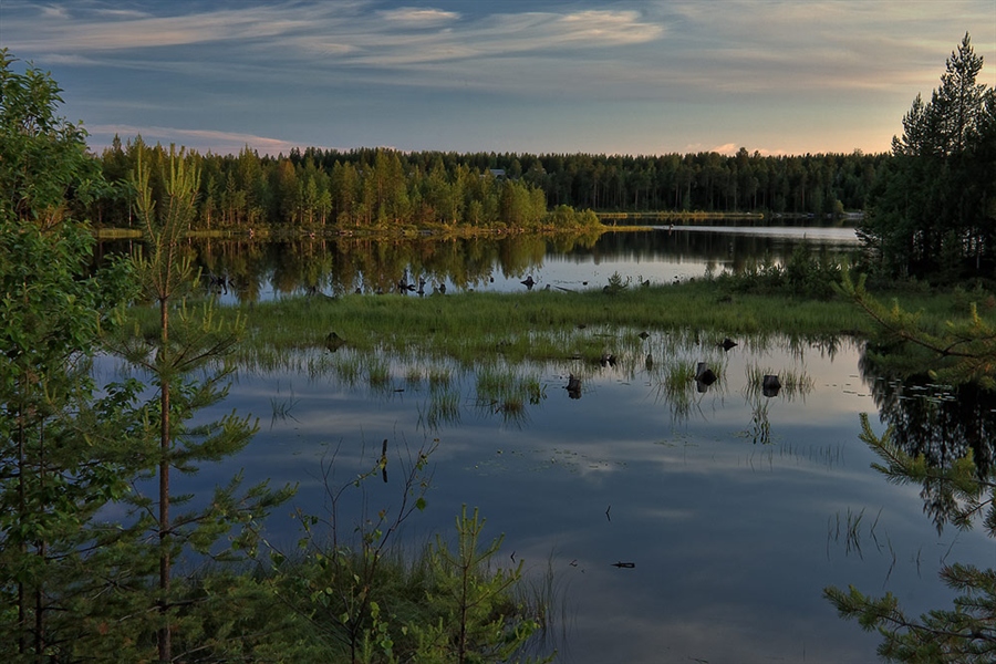 Фото жизнь