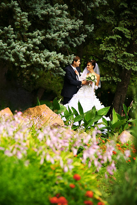 Фото жизнь (light) - Yuliya Golubtsova - Свадебное фото -                             