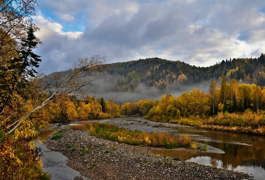 Фото жизнь