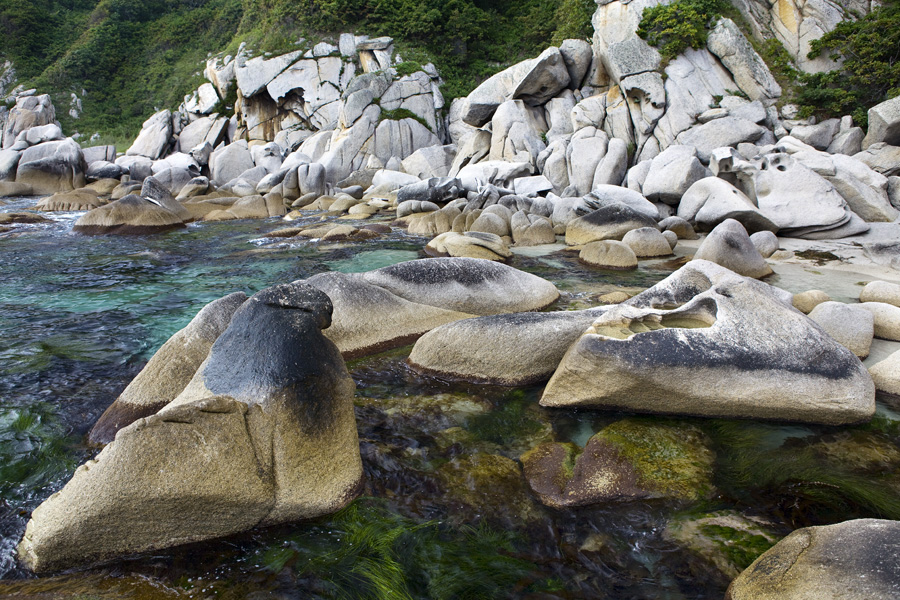 Фото жизнь (light) - igor-ilin - корневой каталог - Камни на триозерье №3 (каменный тюлень)