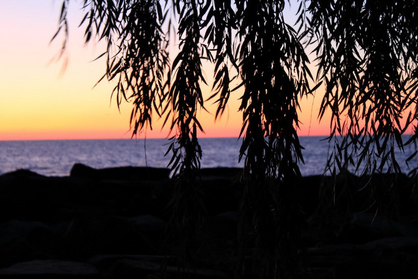 Фото жизнь (light) - Melanie - [nature] - by the Erie Lake