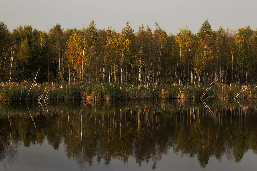 Фото жизнь (light) - emunilkin - пейзаж - Осень и берег