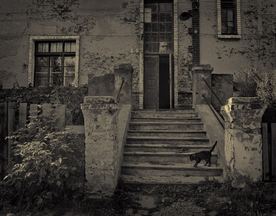 Фото жизнь (light) - Лилия *** - корневой каталог - старый дом и его кошки 2