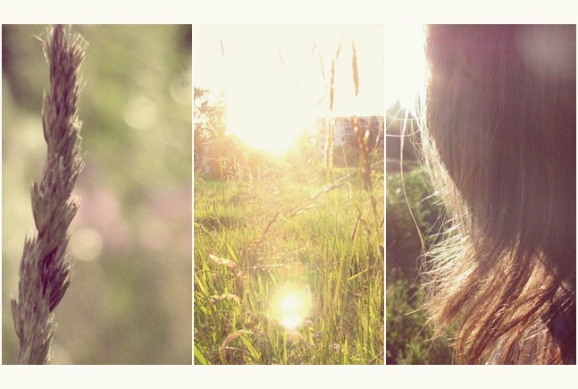 Фото жизнь (light) - N_Penguin - летний - feel it with summer