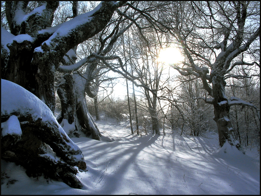 Фото жизнь