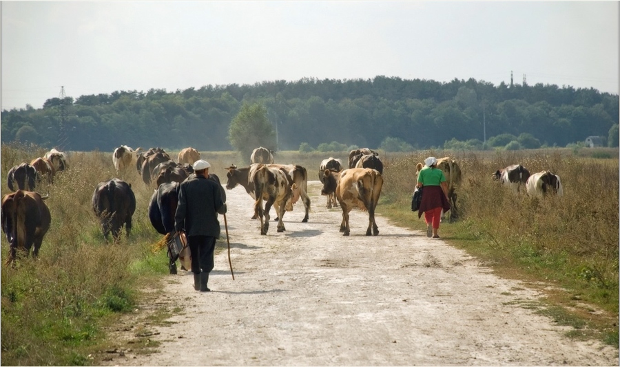 Фото жизнь