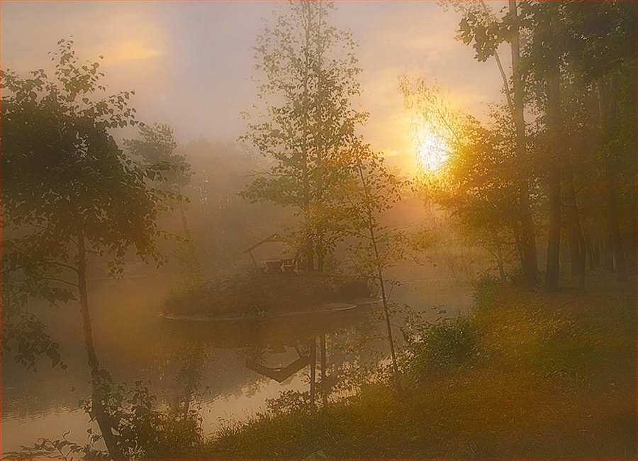 Фото жизнь