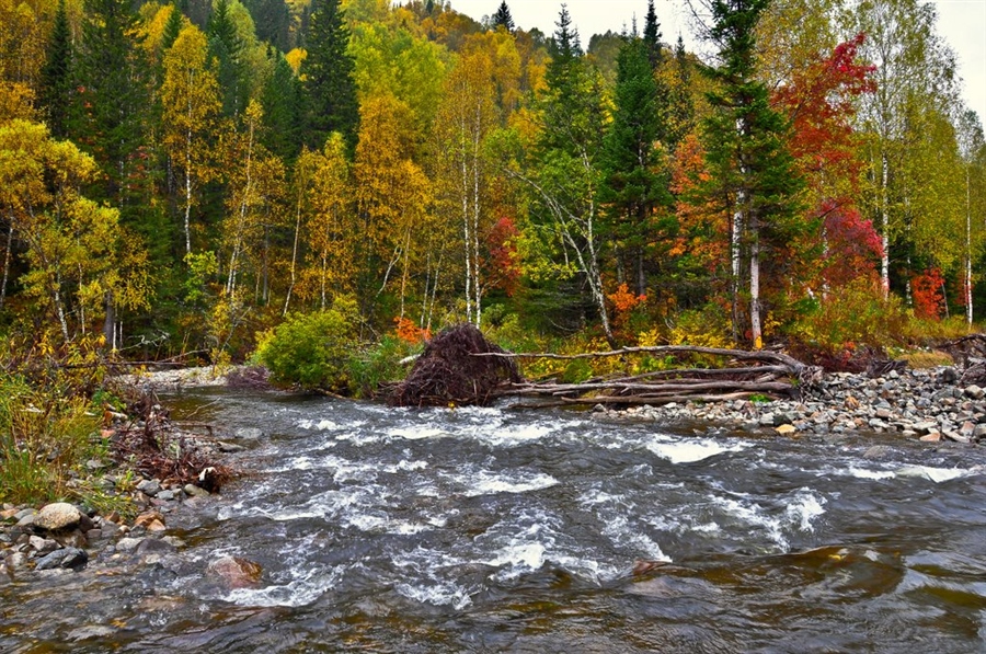 Фото жизнь