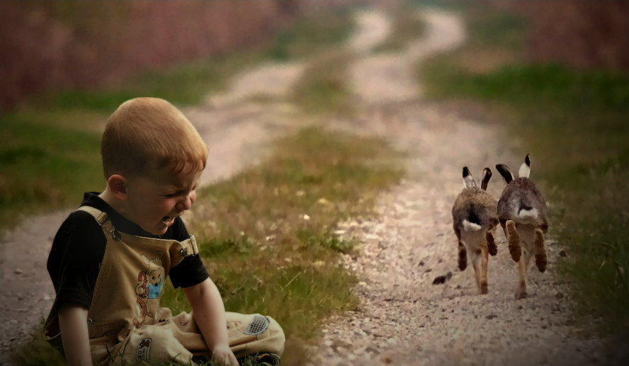 Фото жизнь (light) - Сергей Уланов - Дети и звери (коллажи) - Трусы...