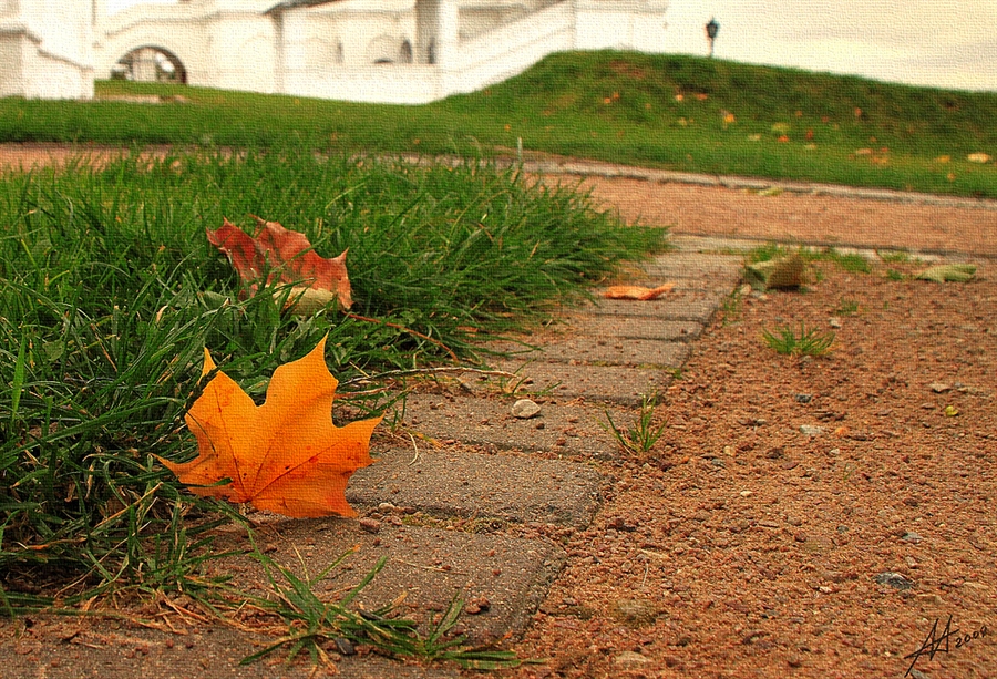 Фото жизнь (light) - Tryam - "Осень, она не спросит...." - Кленовое утро