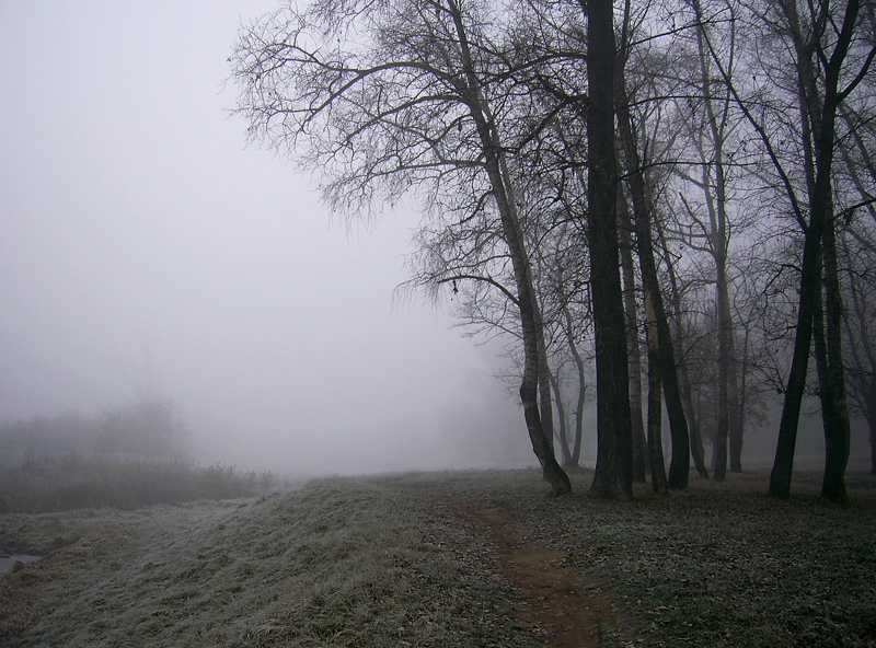 Дорога в туман...