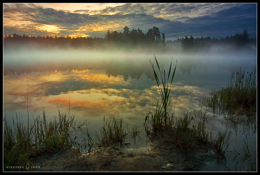 Фото жизнь (light) - Алексеев Игорь - корневой каталог - ***