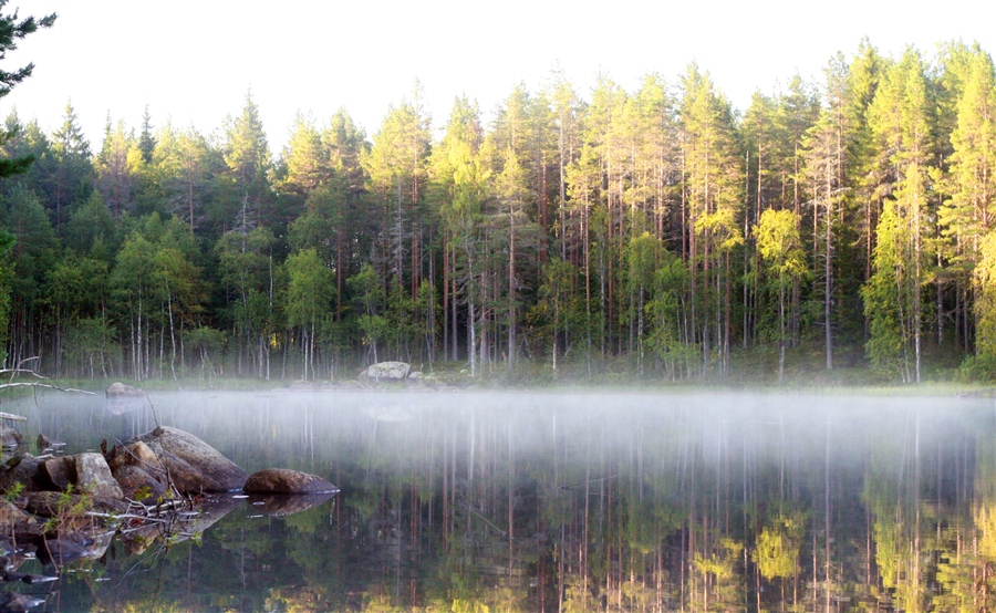 Фото жизнь