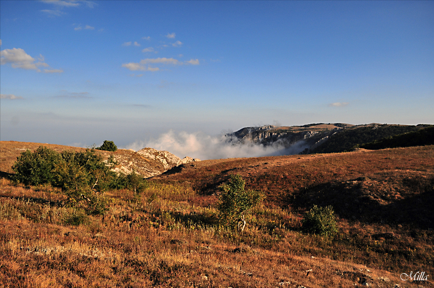 Фото жизнь (light) - _Milla_ - моя страна - На краю неба