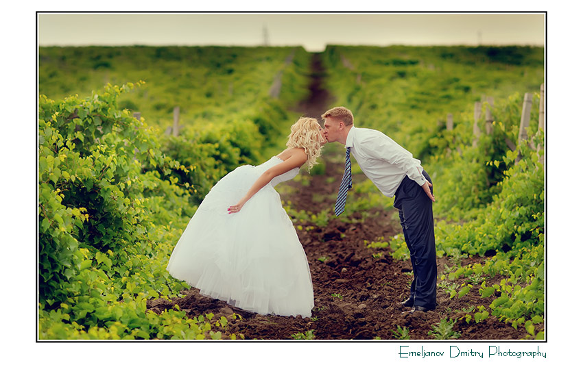 Фото жизнь (light) - Емельянов Дмитрий - свадебное фото... - Виноградная любовь....