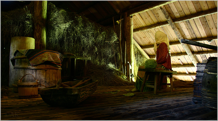 Фото жизнь (light) - Андрей Киселёв - 2009 - В сенях