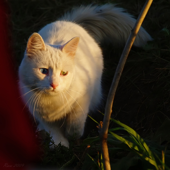 Фото жизнь