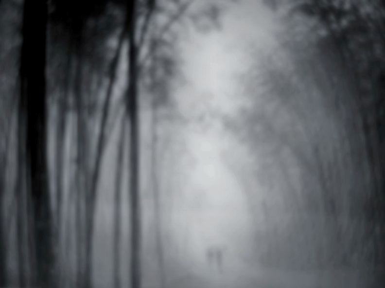 Фото жизнь (light) - SALERA - корневой каталог - в дождь........