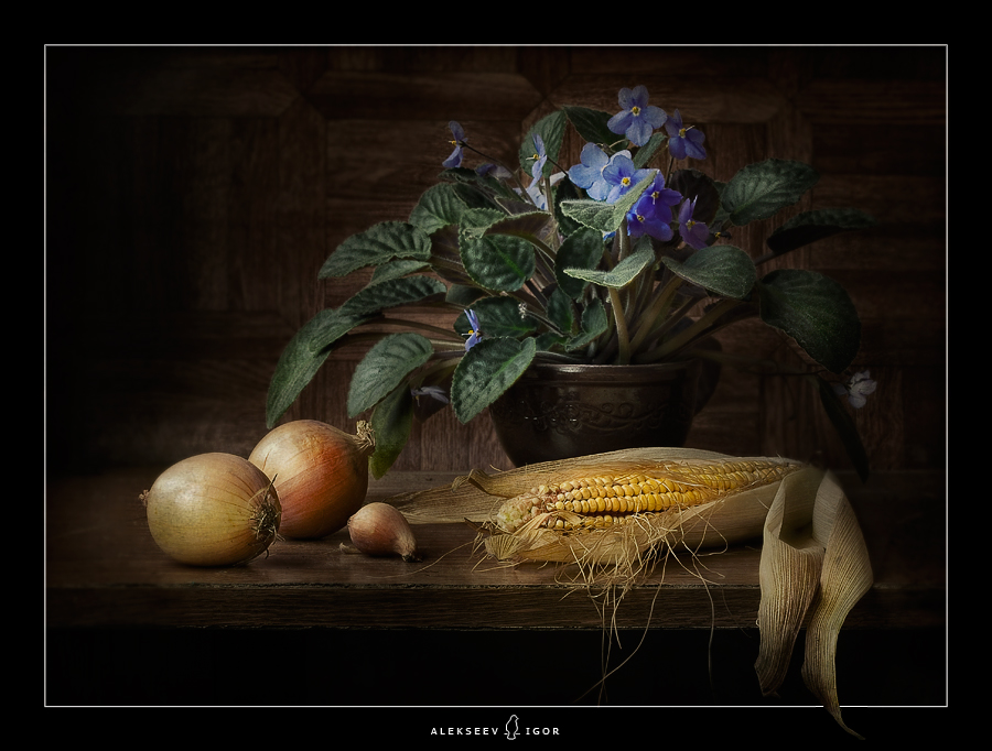 Фото жизнь (light) - Алексеев Игорь - корневой каталог - ***