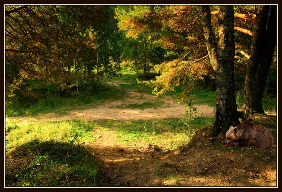 Фото жизнь