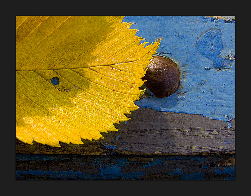 Фото жизнь (light) - Oliycka - Многое другое - Осенний колорит