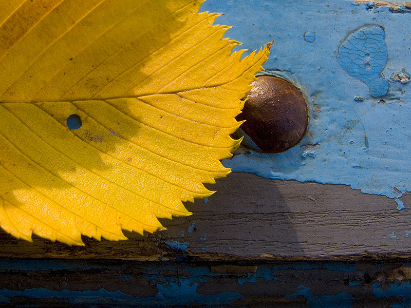 Фото жизнь - Oliycka - Многое другое - Осенний колорит