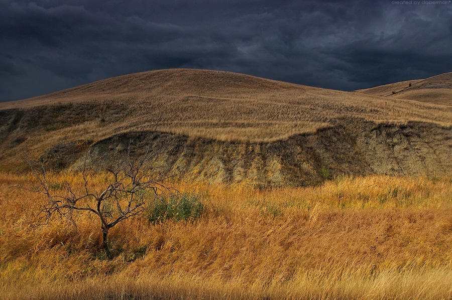 Фото жизнь (light) - Денис Богомолов - Landscapes - Донские зарисовки: Предгрозовое