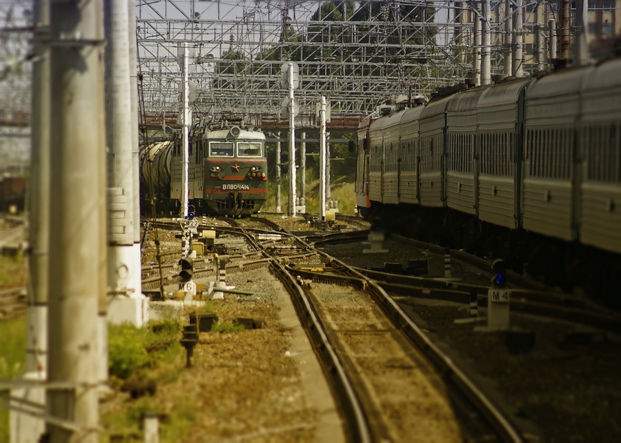 Фото жизнь