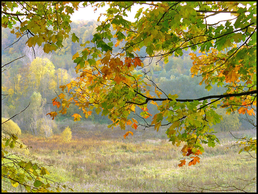 Фото жизнь - evgenyfrolov - корневой каталог - сквозь осень