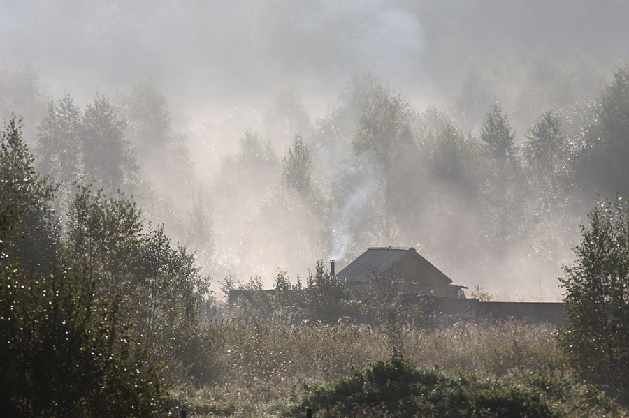 Фото жизнь