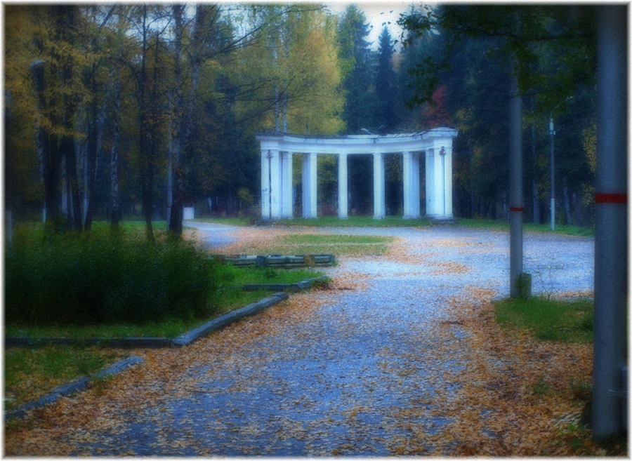 Фото жизнь