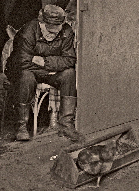 Фото жизнь (light) - Илзе Абелтыня - корневой каталог - Сказ про то,как старик золотое яичко высиживал(((