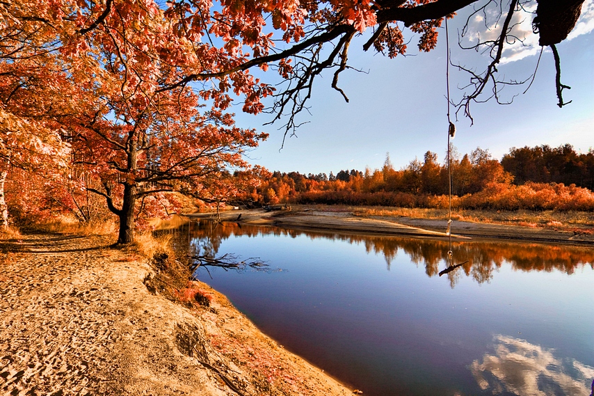 Фото жизнь