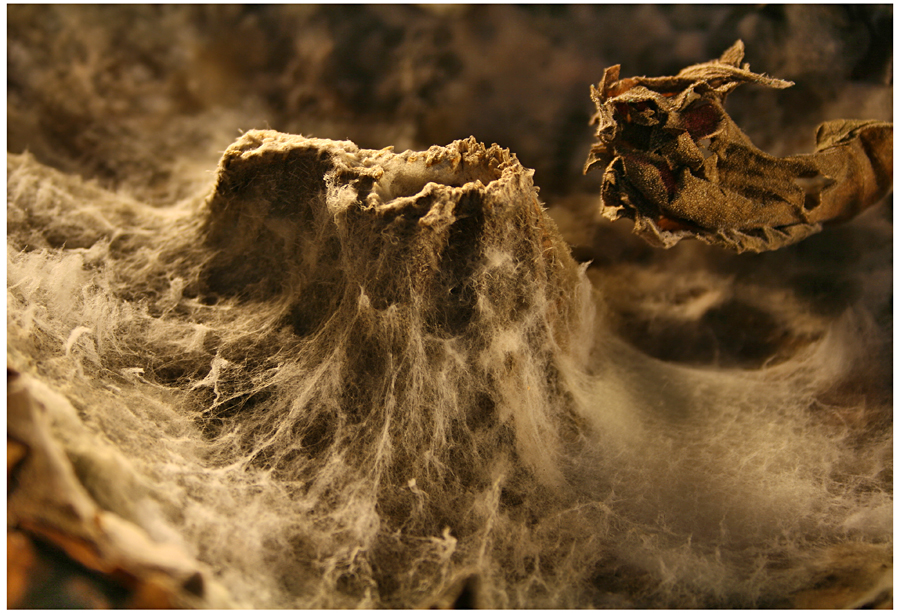 Фото жизнь (light) - RobinZone - АбстрАкцИИ и прЕдмЕтЫ - Гора Дракона