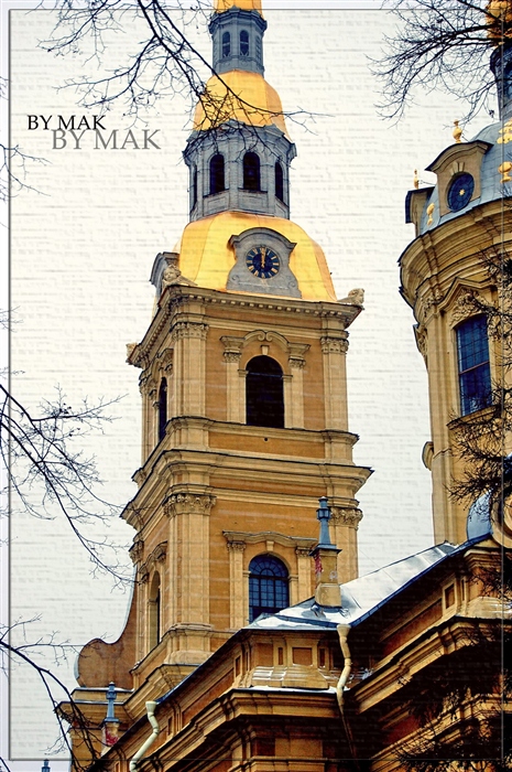 Фото жизнь