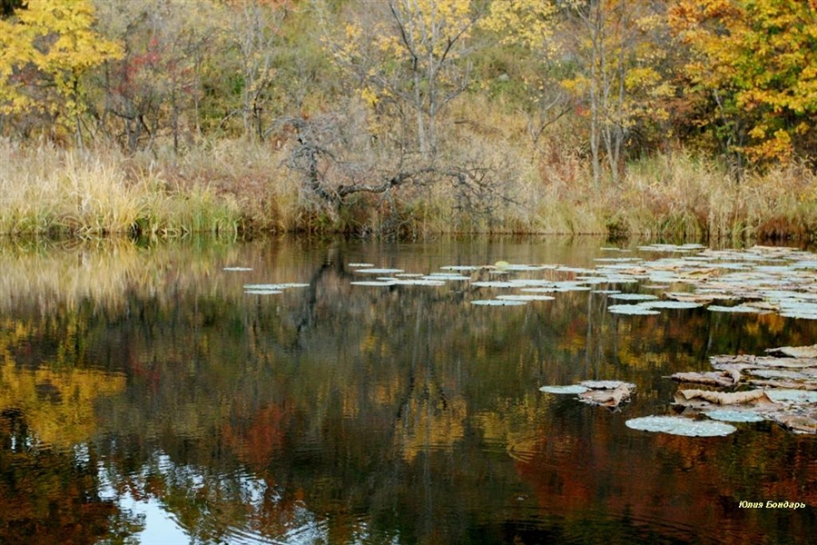 Фото жизнь