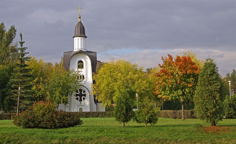 Фото жизнь