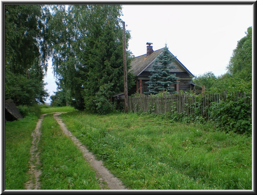 Фото жизнь (light) - natashulpinova - Природа и пейзажи - В деревне