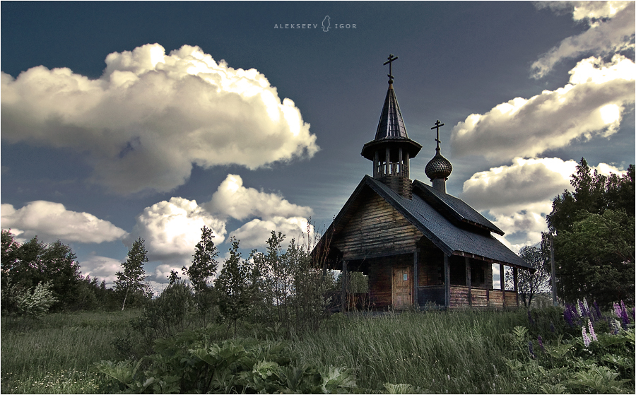 Фото жизнь (light) - Алексеев Игорь - корневой каталог - ***