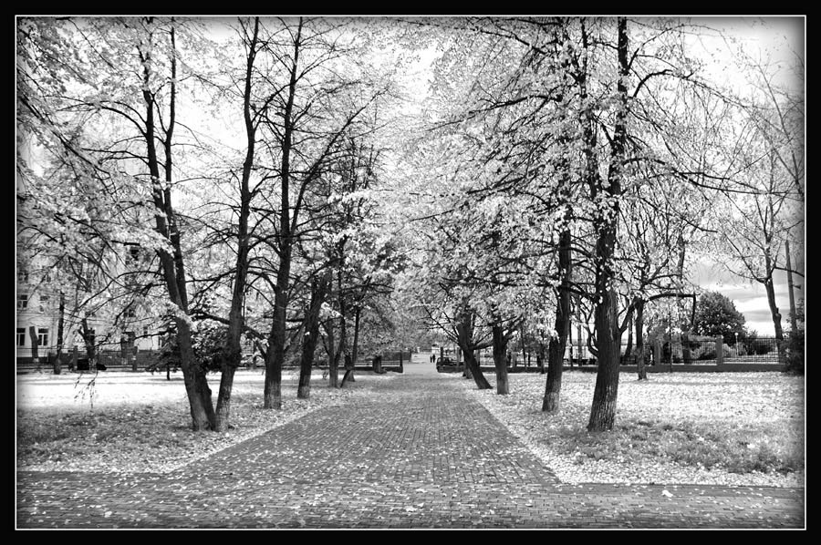 Фото жизнь (light) - Коржавин Александр - Ч/б фотография - Зимнее настроение в осеннем городе…