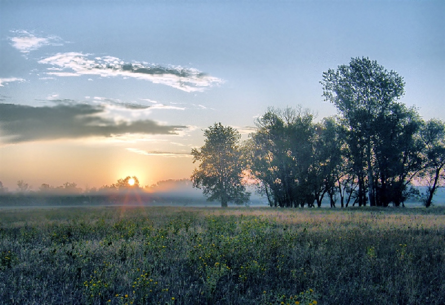 Фото жизнь