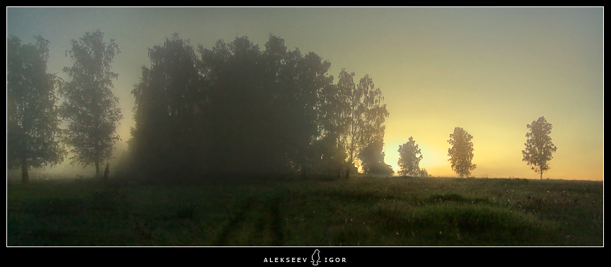 Фото жизнь (light) - Алексеев Игорь - корневой каталог - ***