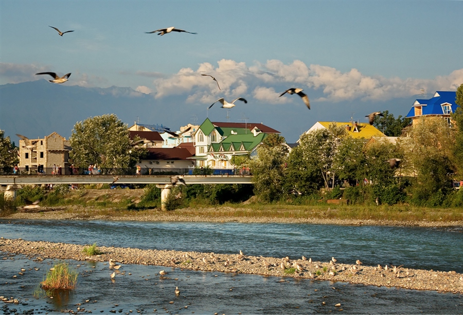 Фото жизнь