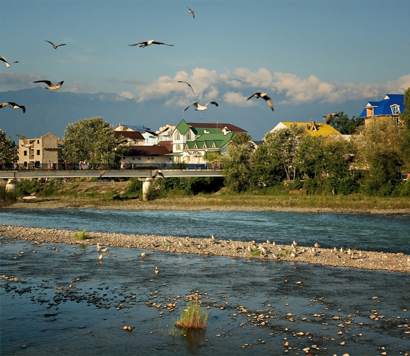Фото жизнь
