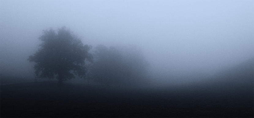 Фото жизнь (light) - mystera - Faszination Nebel. - туман без Ёжика