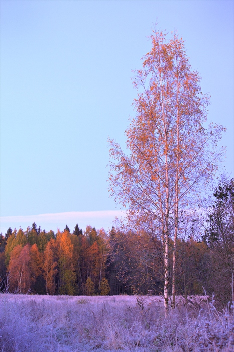 Фото жизнь